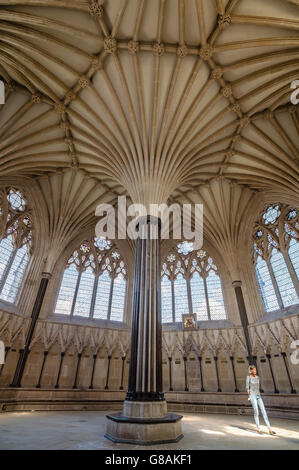 Wells, UK - 15. August 2015: Innenraum der Kathedrale von Wells. Es ist eine anglikanische Kathedrale St Andrew der Apostel gewidmet Stockfoto