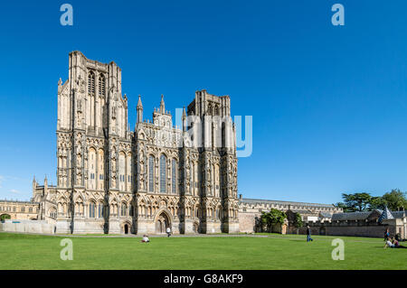 Wells, UK - 15. August 2015: Natur des Wells Cathedral. Es ist eine anglikanische Kathedrale St Andrew der Apostel gewidmet. Stockfoto