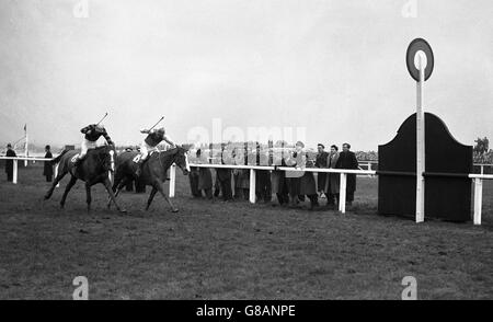 Das Grand National 1954 - Aintree Stockfoto