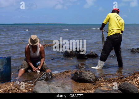 Krake Fischer, Anse Baleine Rodrigues Stockfoto