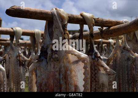 Gestelle zum Aufhängen von Oktopus zum Trocknen, Oktopus Fischer, Anse Baleine Rodrigues Stockfoto