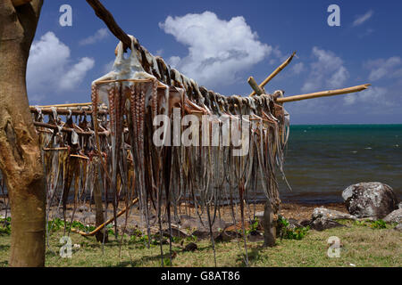 Gestelle zum Aufhängen von Oktopus zum Trocknen, Oktopus Fischer, Anse Baleine Rodrigues Stockfoto