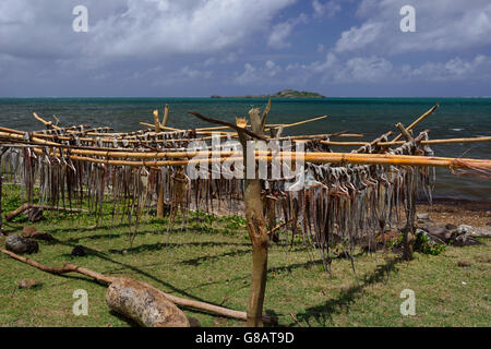 Gestelle zum Aufhängen von Oktopus zum Trocknen, Oktopus Fischer, Anse Baleine Rodrigues Stockfoto