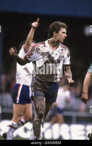 Fußball - European Championship Qualifier - Group One - Nordirland V England - Windsor Park Stockfoto