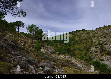 Wandern, Parque Natural De La Sierra Tejeda y Almijara, Andalusien, Spanien Stockfoto