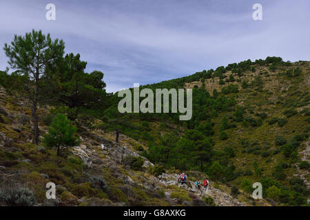 Wandern, Parque Natural De La Sierra Tejeda y Almijara, Andalusien, Spanien Stockfoto