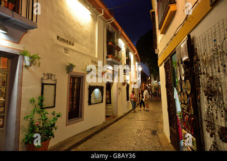 Juderia (historisch Viertel der Juden), Córdoba, Andalusien, Spanien Stockfoto