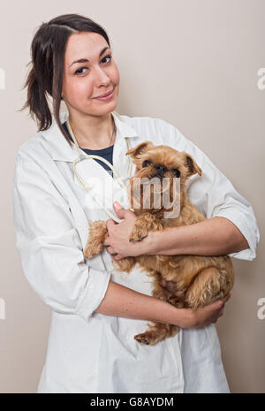 Junge Frauen Arzt untersucht einen kleinen Hund Griffon Stockfoto