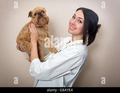 Junge Frauen Arzt untersucht einen kleinen Hund Griffon Stockfoto