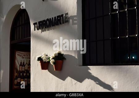 Juderia (historisch Viertel der Juden), Córdoba, Andalusien, Spanien Stockfoto