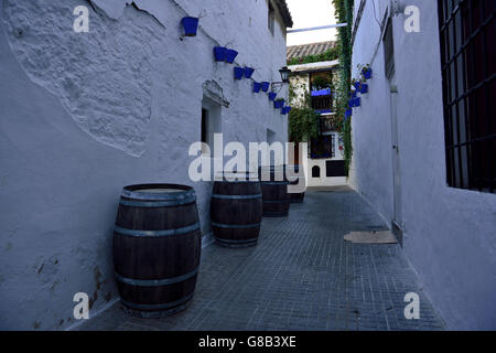 Juderia (historisch Viertel der Juden), Córdoba, Andalusien, Spanien Stockfoto