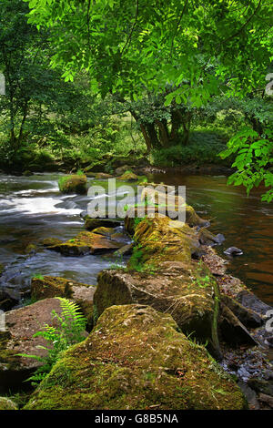 Großbritannien, Derbyshire, Peak District, River Derwent und Stepping Stones in der Nähe von Hathersage Stockfoto