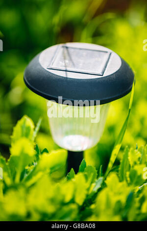 Kleine Solar Garten Licht, Laternen im Blumenbeet. Garten-Design. Solar betriebene Lampe Stockfoto