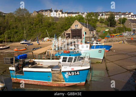 Großbritannien, Wales, Ceredigion, New Quay, Angelboote/Fischerboote im Hafen bei Ebbe Stockfoto