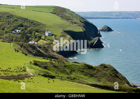 Großbritannien, Wales, Ceredigion, Llangrannog, Lochtyn, Küstenweg in Richtung Stift Rhip und Position Dol y Fran Stockfoto