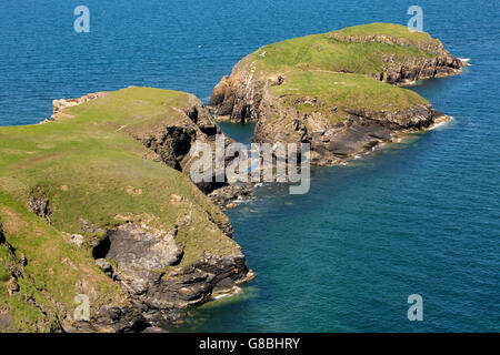 Großbritannien, Wales, Ceredigion, Llangrannog, Ynys Lochtyn Insel Stockfoto