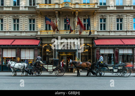 Pferdewagen vor dem Hotel Sacher, Wien, Österreich Stockfoto