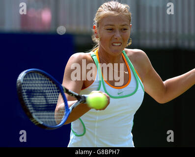 Tennisclub - DFS Classic 2005 - Edgbaston Priorat Stockfoto