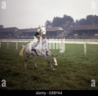 Mrs C. C. Williams' 'Dunlin', mit J. King, nach dem 2. Platz beim Caterham Novices Hurdle Race. Stockfoto