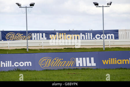 Greyhound Racing - Sunderland Greyhound Stadium. Ein allgemeiner Überblick über das Branding und die Beschilderung von William Hill. Stockfoto