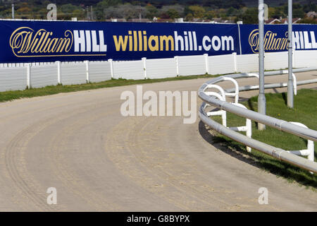 Greyhound Racing - Sunderland Greyhound Stadium. Ein allgemeiner Überblick über das Branding und die Beschilderung von William Hill. Stockfoto