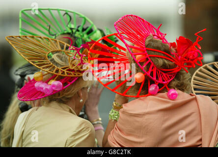 Pferderennen - Royal Ascot in York - die königliche Sitzungstag - York Racecourse Stockfoto