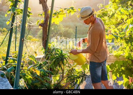 Seitenansicht des stilvollen jungen Mann Bewässerung Pflanzen im Garten in der Sonne Stockfoto