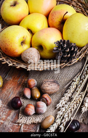 Herbstliche Ernte der Äpfel in Stillleben mit Nüssen, Ohren Weizen und Pinien-Zapfen Stockfoto