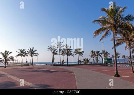 Leere gepflasterte Promenade Palm Bäume Pier und Ozean auf der Golden Mile Strand in Durban in Südafrika Stockfoto