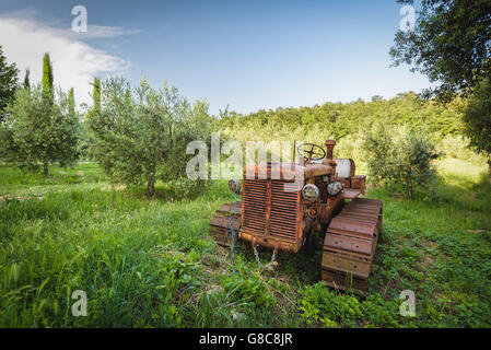 Alte rostige Traktor vernachlässigt unter dem Baum Stockfoto