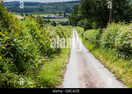 Einen schmalen Feldweg führen hinunter in Richtung Norbury aus Linley Hill, in der Nähe von Bischofsburg, Shropshire, England, UK Stockfoto