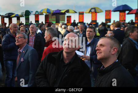 Horse Racing - 2015 Nordirland Festival des Rennsports - Tag zwei - Down Royal Racecourse Stockfoto