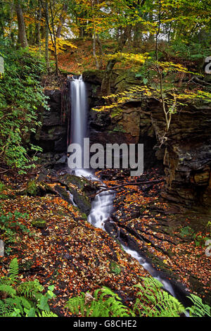 UK, Derbyshire, Peak District, Lumsdale, Bentley Brook Wasserfälle Stockfoto