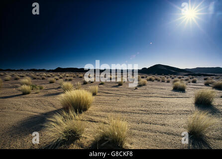 Halbwüste, Hoanib Fluss, Skeleton Coast Park, Namibia. Stockfoto