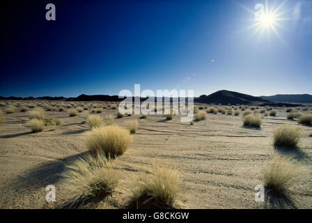 Halbwüste, Hoanib Fluss, Skeleton Coast Park, Namibia. Stockfoto