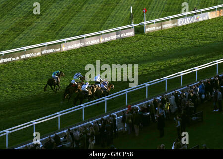 Pferderennen - The Showcase - Tag Zwei - Cheltenham Racecourse. Rennfahrer beobachten die Action auf der Cheltenham Racecourse Stockfoto