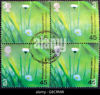 Vereinigtes Königreich - CIRCA 2000: Briefmarke gedruckt in Großbritannien zeigt Gänseblümchen (Mile End Park, London, circa 2000 Stockfoto