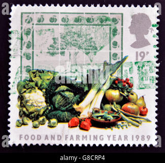 Vereinigtes Königreich - CIRCA 1989: Eine Briefmarke in Großbritannien zeigt, Lebensmittel und Landwirtschaft Jahr 1989 circa 1989 gedruckt. Stockfoto