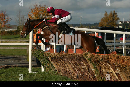 Pferderennen Sie-2015 Nordirland Festival von Racing - Day One - Down Royal Racecourse Stockfoto