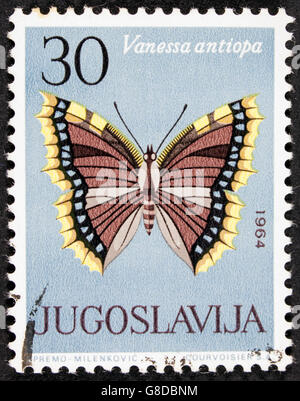 Grootebroek, Niederlande - März 8,2016: einen Stempel in Jugoslawien zeigt Schmetterling mit der Aufschrift 'Vanessa antiop gedruckt Stockfoto