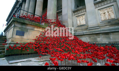 Keramikmohn aus dem Weeping Window, Teil der im vergangenen Herbst im Tower of London gezeigten Kunstwerke „Blood Sweeped Lands“ und „Seas of Red“, die in der St George's Hall, Liverpool, Während sich die Nation darauf vorbereitet, sich an ihre gefallenen Dienste zu erinnern, werden Männer und Frauen mit Erinnerungsdiensten in ganz Großbritannien in den nächsten Tagen abgehalten. Stockfoto