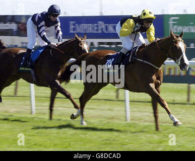 Horse Racing - John Smith Northumberland Plate - Newcastle Racecourse Stockfoto