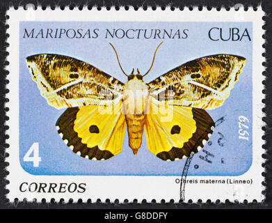Kuba - ca. 1979: einen Stempel in der Kuba gedruckt zeigt othreis Materna, nächtlichen Schmetterling, ca. 1979 Stockfoto