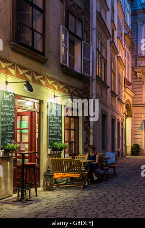 Nacht-Blick auf eine Straße im historischen Zentrum, Wien, Österreich Stockfoto
