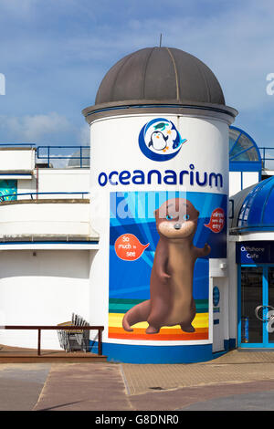 Oceanarium das Bournemouth Aquarium am Pier Approach, Bournemouth, Dorset, UK im Juni Stockfoto