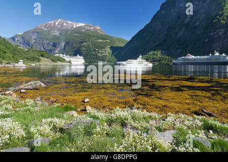 Kreuzfahrtschiffe ankern in Geiranger Fjord Norwegen Stockfoto