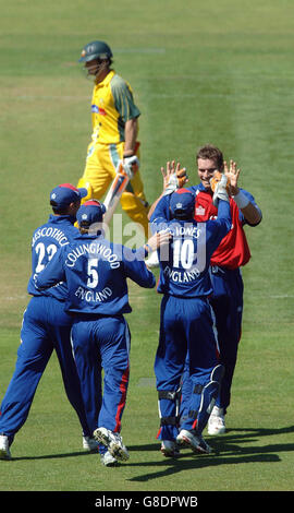 Cricket - The NatWest International Triangular Series - England - Australien - Riverside. Der englische Chris Tremlett (R) feiert mit seinen Teamkollegen, nachdem er das australische Wicket von Adam Gilchrist (TOP) eingenommen hat. Stockfoto