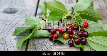 Reife saftige Kirschen mit grünen Blättern auf hölzernen Hintergrund Stockfoto