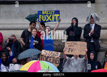 London, UK. 28. Juni 2016. Anti - Brexit Protest, London Credit: Sebastian Remme/Alamy Live-Nachrichten Stockfoto