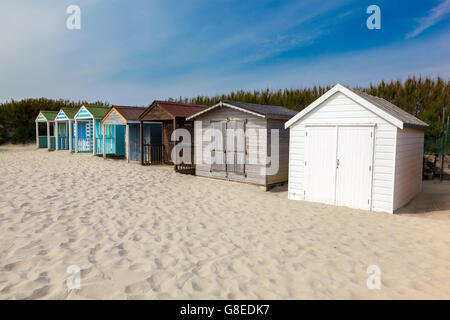 Traditionellen Strandhütten auf feinen goldenen Sand am West Wittering Strand West Sussex England UK Europe Stockfoto